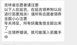 网友爆料道歉狗狗视频,温馨画面感动网友